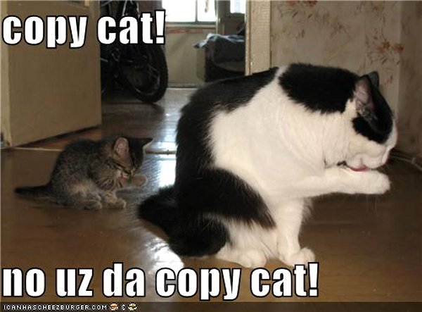 copy-cat-funny