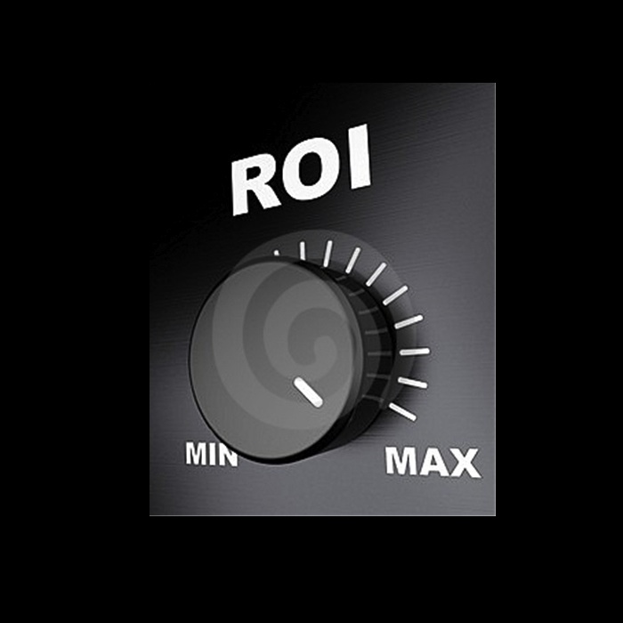 SM-ROI